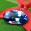 Ceylon Natural Cornflower Blue Sapphire Long Oval shape gem from Danu Group - danugroup.lk