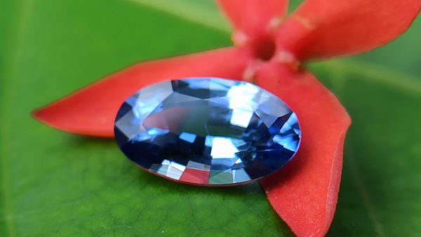 Ceylon Natural Cornflower Blue Sapphire Long Oval shape gem from Danu Group - danugroup.lk