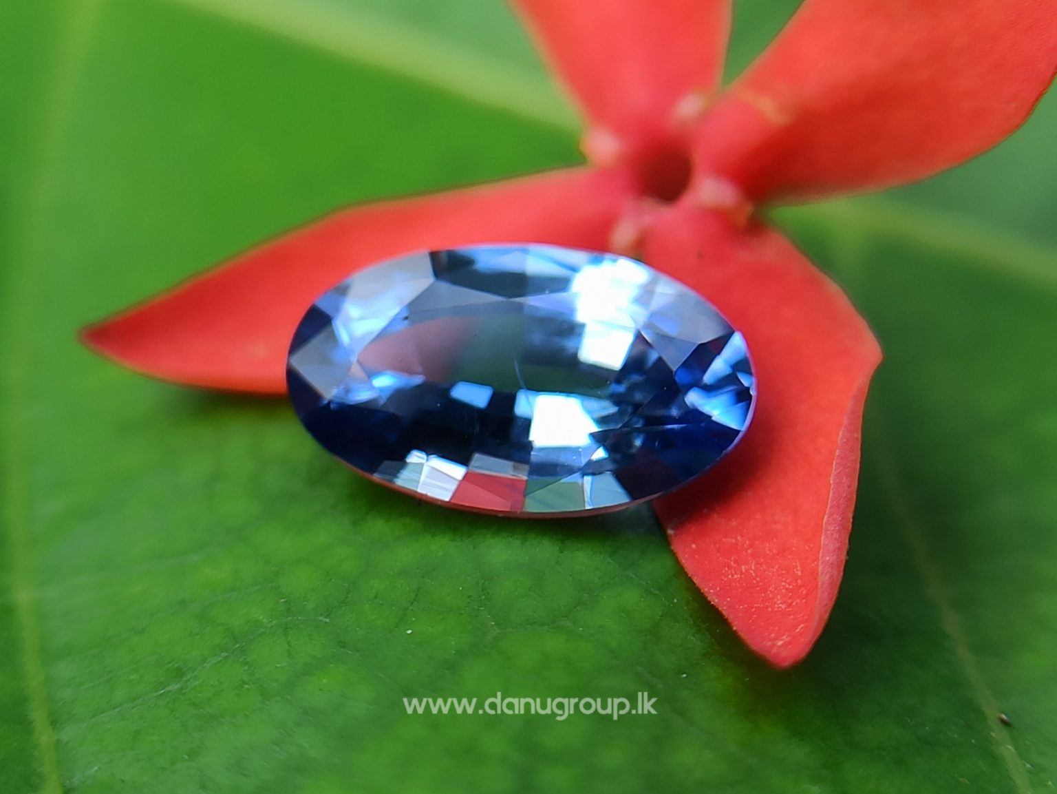 Ceylon Natural Cornflower Blue Sapphire Long Oval shape gem from Danu Group - danugroup.lk