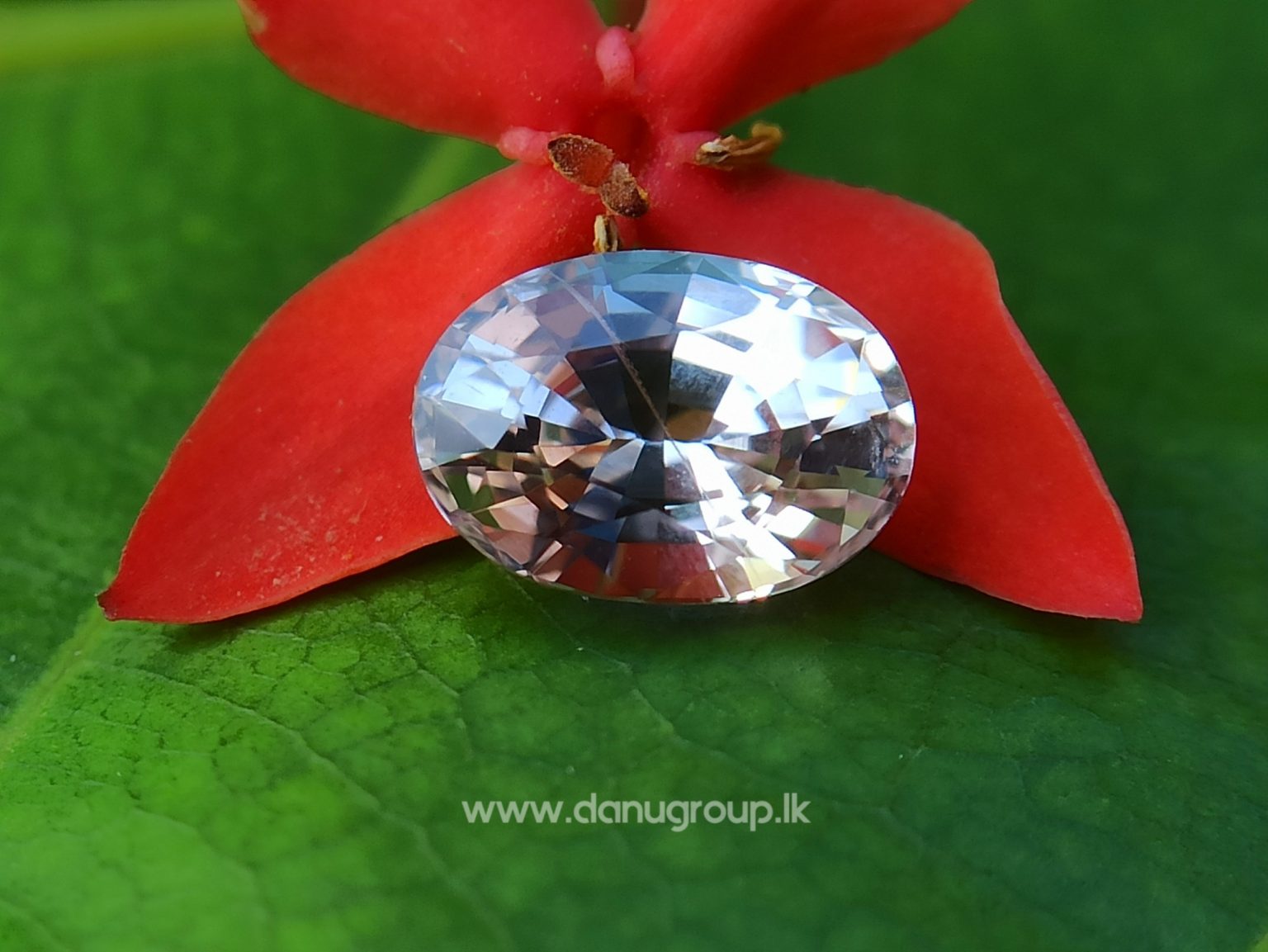 Ceylon Natural Light Peachy Pink Sapphire Danu Group collection