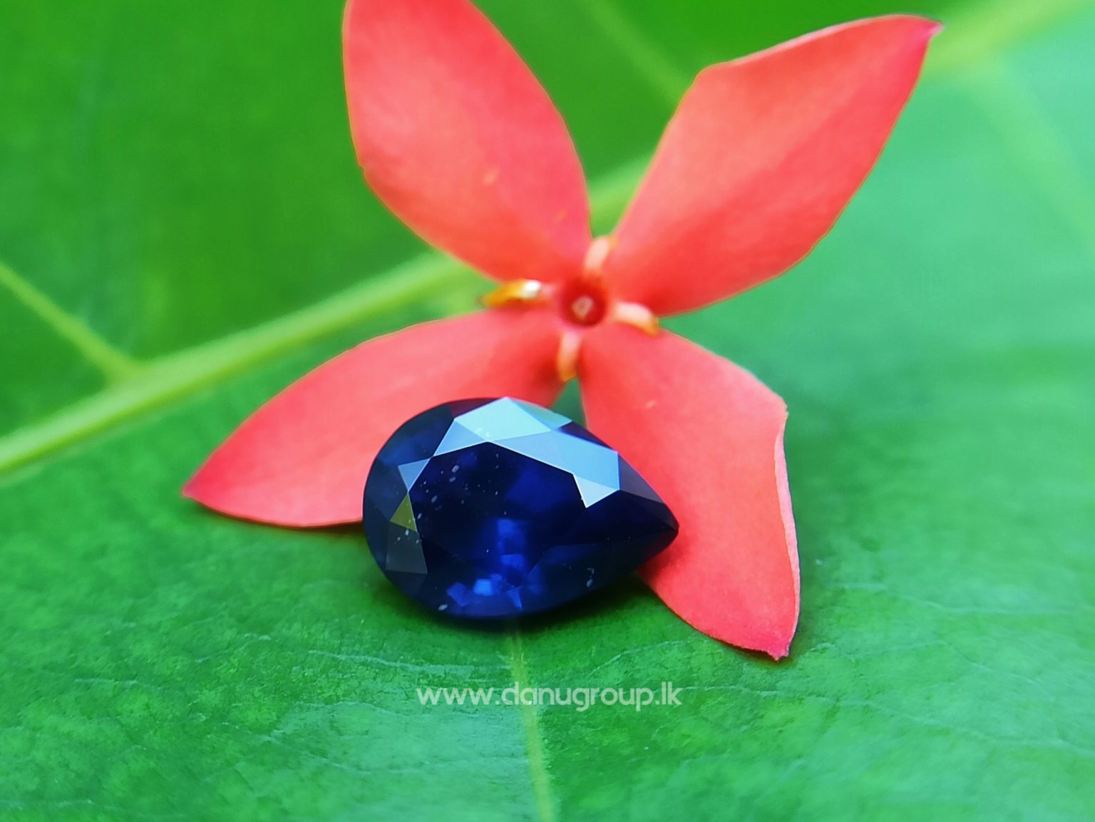 Ceylon Vivid Royal Blue Sapphire Drop Pear Shape Danu Group Gemstones - danugroup.lk