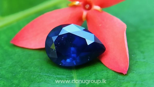 Ceylon Vivid Royal Blue Sapphire Drop Pear Shape Danu Group Gemstones - danugroup.lk
