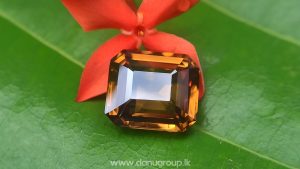 Jackwood brown zircon Natural brown zircon Danu group Gemstones - danugroup.lk