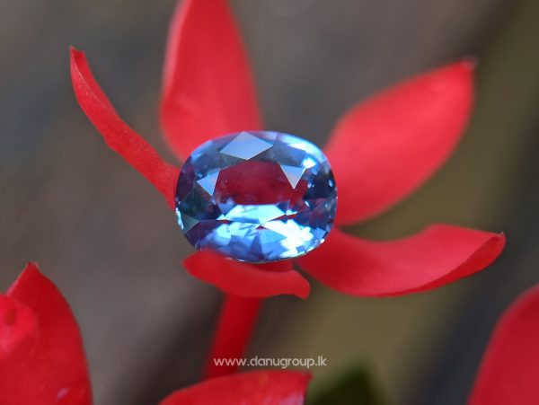 Natural Violetish Blue Sapphire from Danu Group Gemstones Collection - danugroup.lk