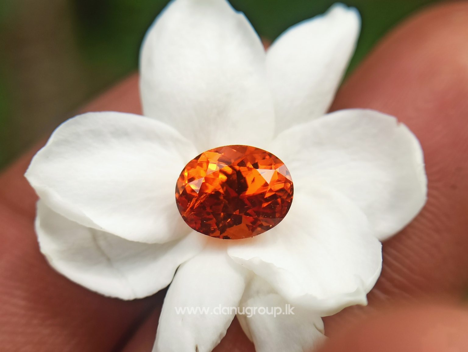 Natural Vivid Orange Spessartite Garnet Danu Group Gemstones - danugroup.lk