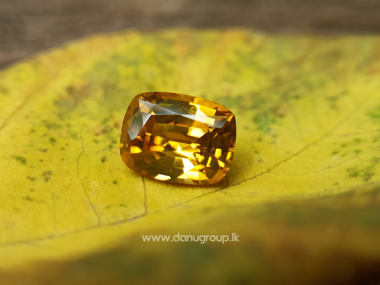 Ceylon Natural Yellow Zircon Melychrysos from Danu Group Gemstones Collections