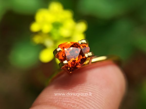 Natural Vivid Orange Spessartite Garnet Triangular Shape stone from Danu Group Gemstones Collection - danugroup.lk