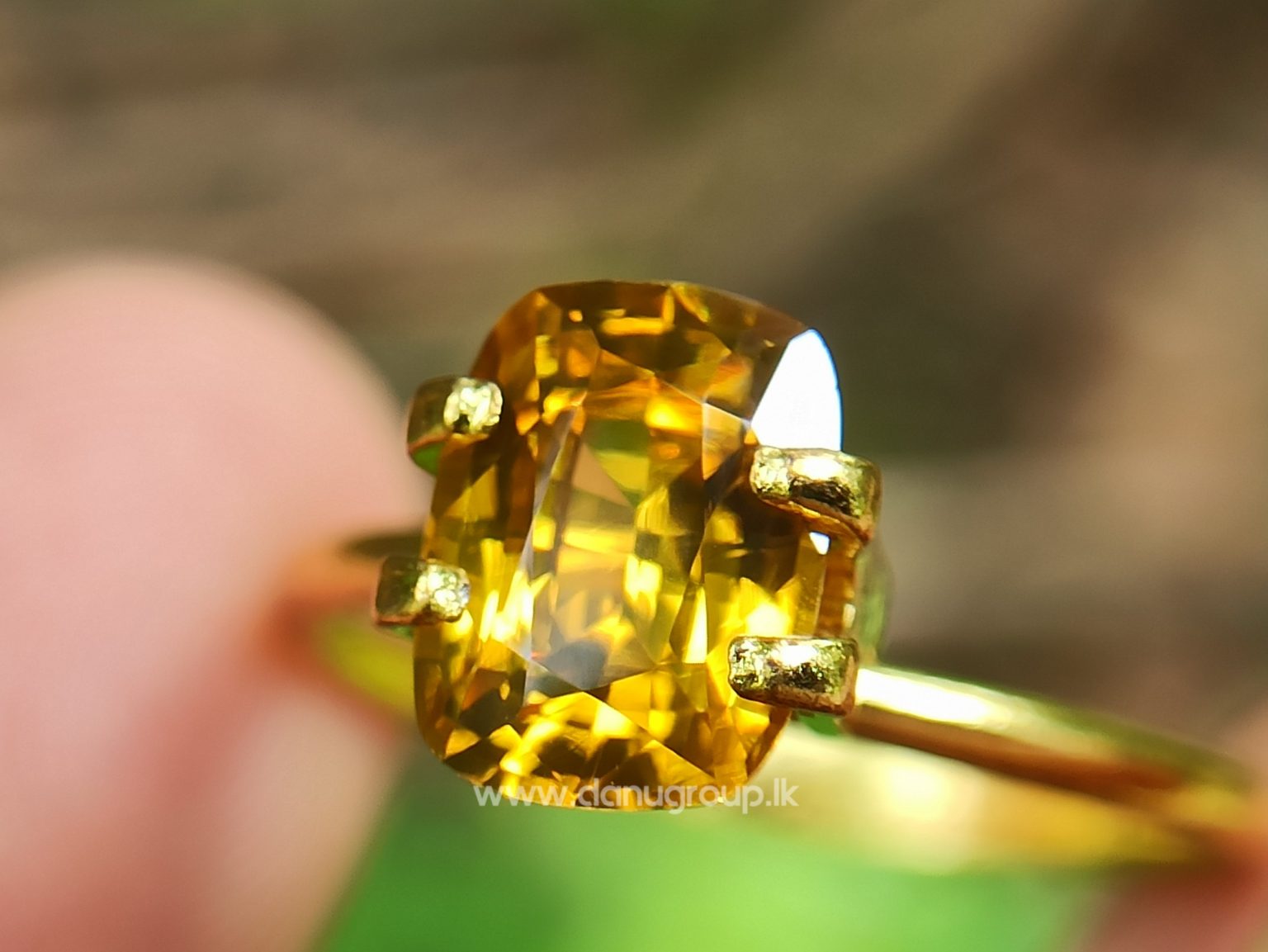 Ceylon Natural Yellow Zircon Melychrysos from Danu Group Gemstones Collections