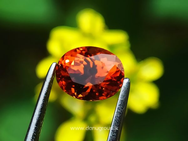 Natural Vivid Orange Spessartite Garnet Danu Group Gemstones - danugroup.lk