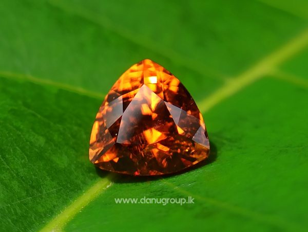 Natural Vivid Orange Spessartite Garnet Triangular Shape stone from Danu Group Gemstones Collection - danugroup.lk