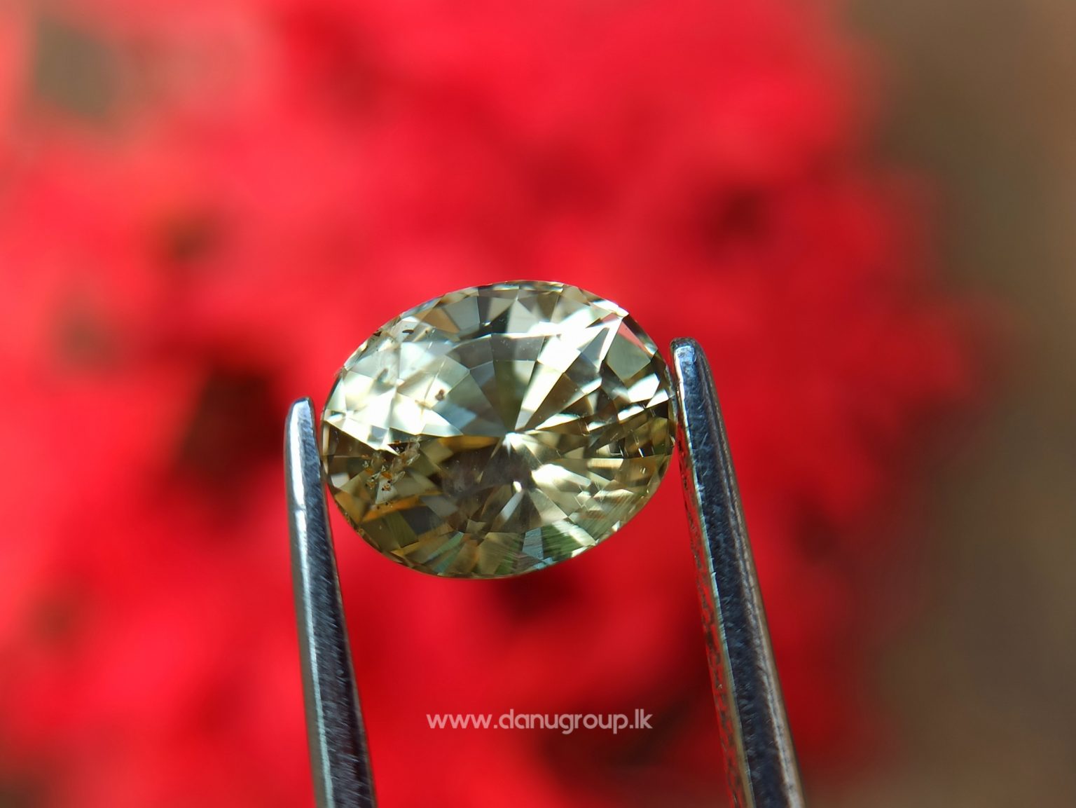 Ceylon Natural Yellow Sapphire Oval shape Unheated Pukraj from Danu Group - - danugroup.lk