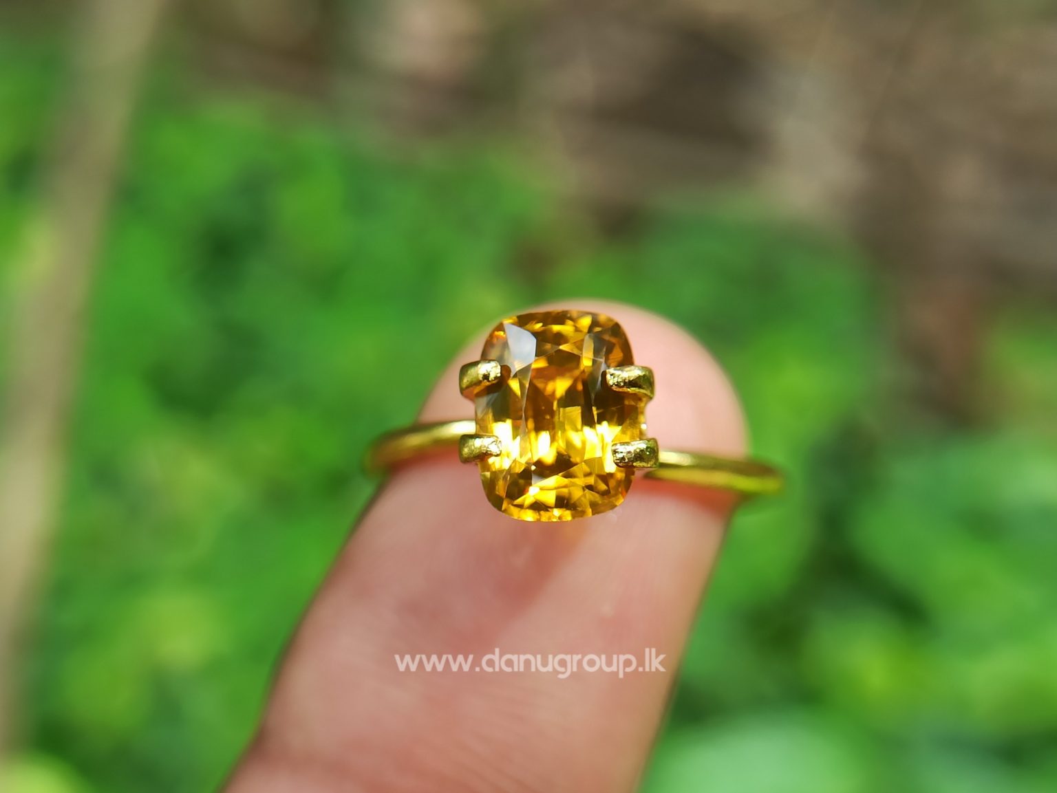 Ceylon Natural Yellow Zircon Melychrysos from Danu Group Gemstones Collections