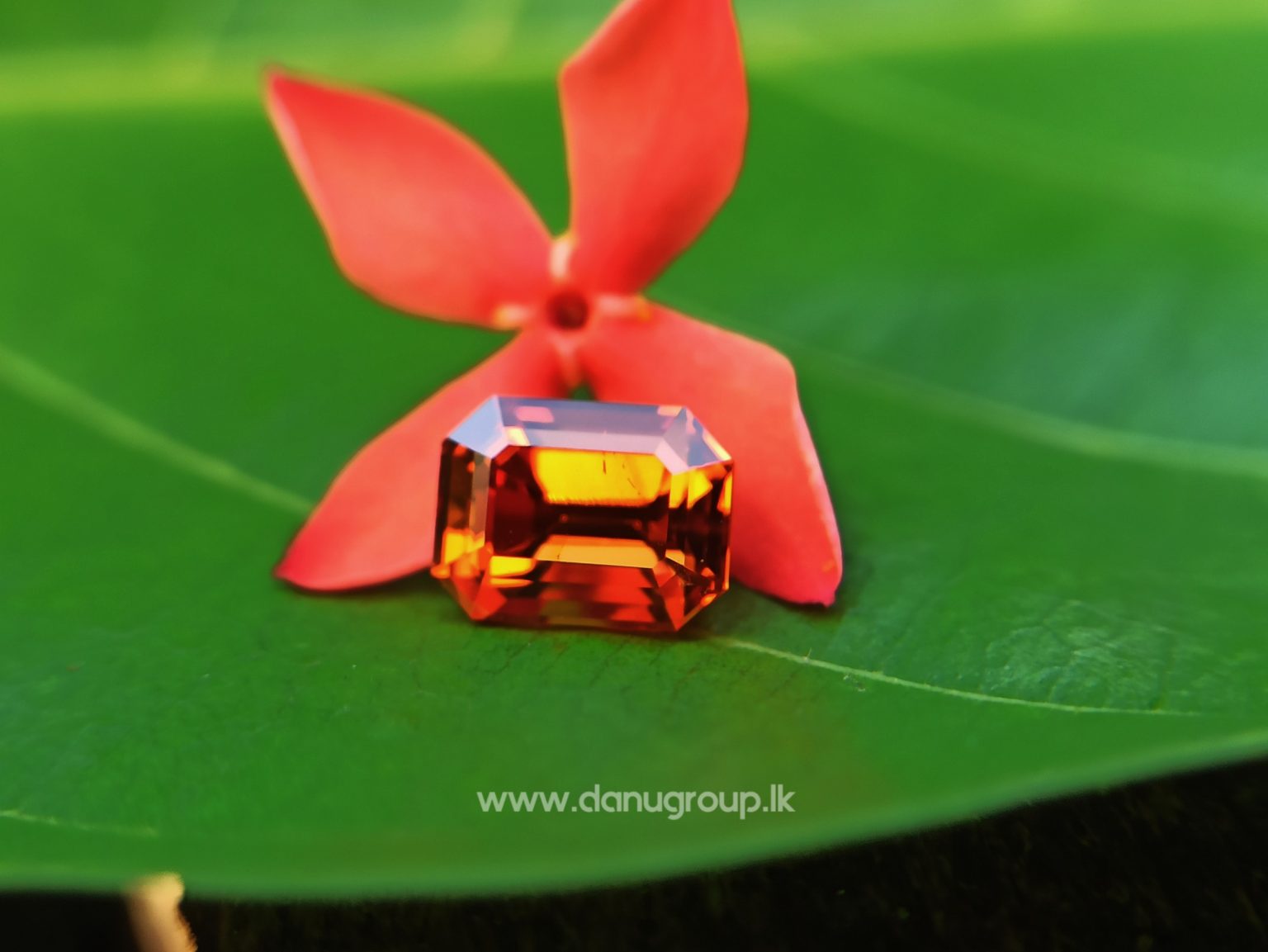 Best Quality Natural Spessartite Garnet Emerald Cut Danu Group Gemstones -- danugroup.lk