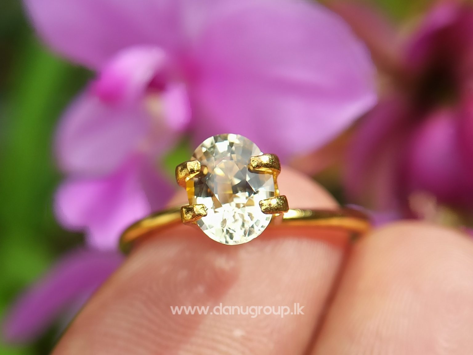 Ceylon Natural Light Yellow Sapphire Oval Shape best quality gem from Danu Group - danugroup.lk