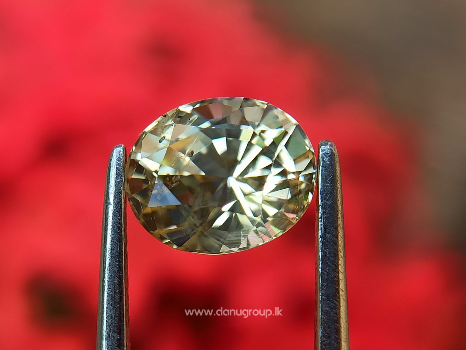 Ceylon Natural Yellow Sapphire Oval shape Unheated Pukraj from Danu Group - - danugroup.lk