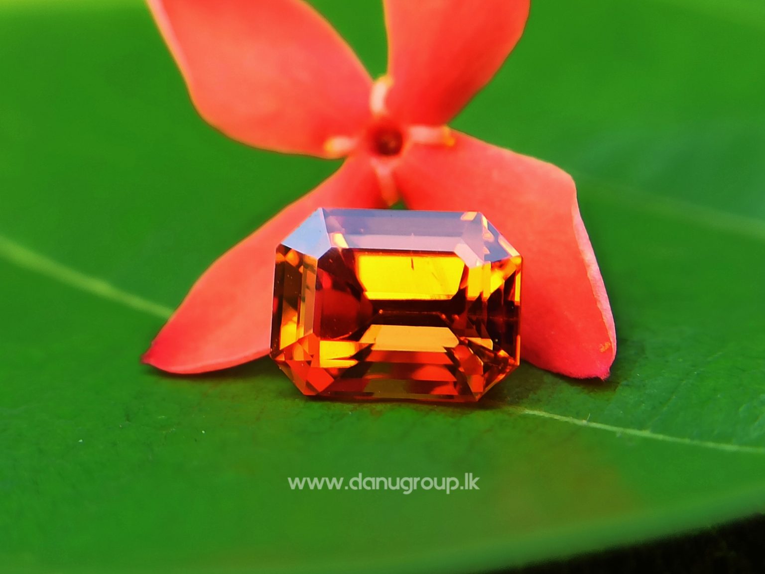 Best Quality Natural Spessartite Garnet Emerald Cut Danu Group Gemstones -- danugroup.lk