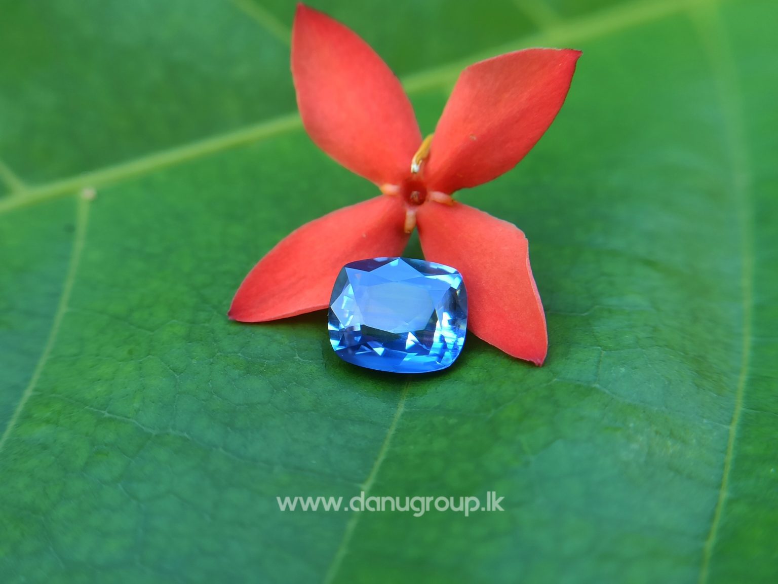 Ceylon Blue Sapphire Cushion Shape - Danu Group Gemstones
