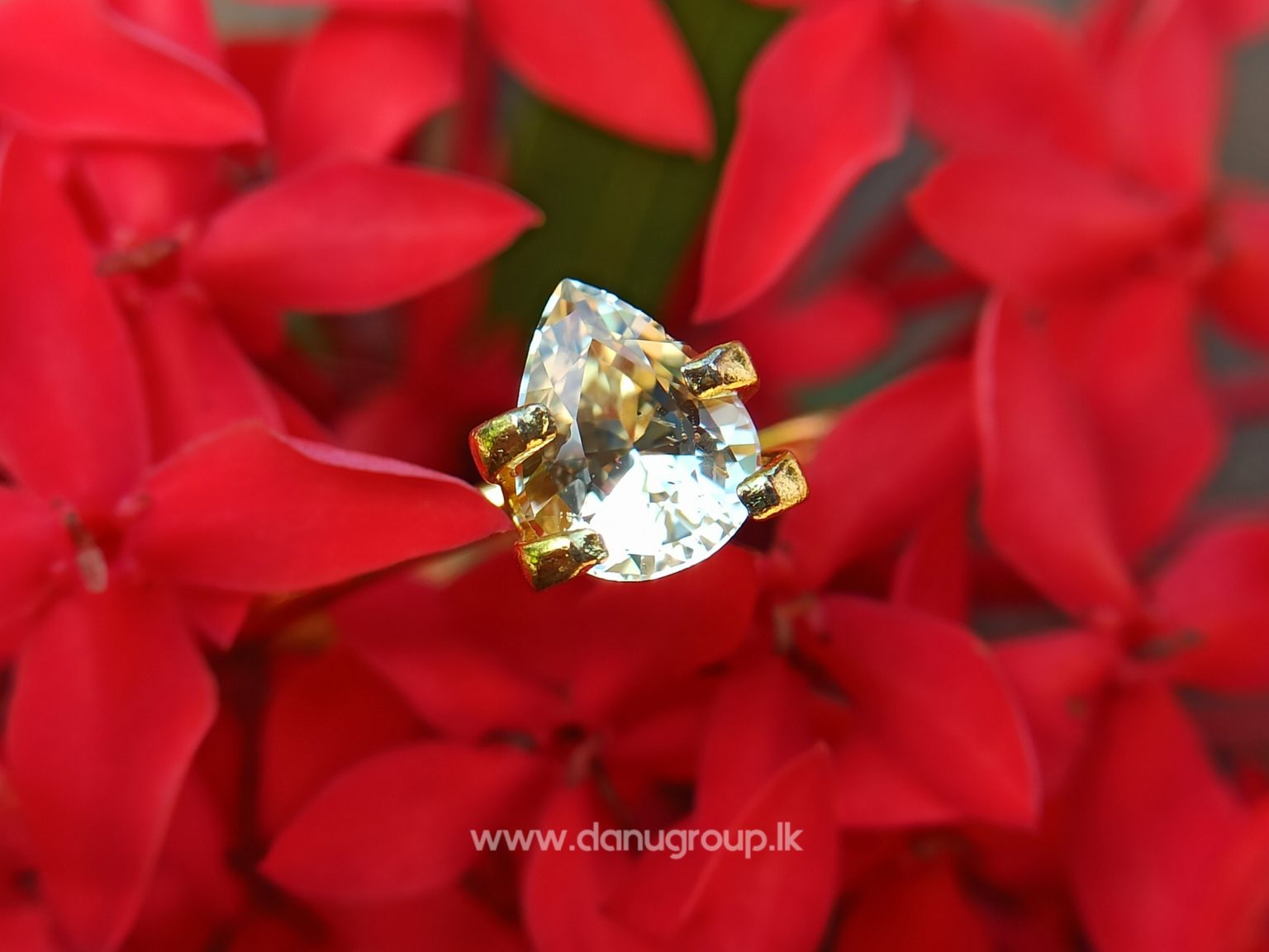 Ceylon Natural Yellow Sapphire pear shape Unheated Pukraj from Danu Group - danugroup.lk