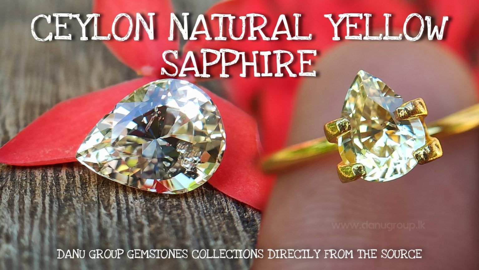 Ceylon Natural Yellow Sapphire pear shape Unheated Pukraj from Danu Group - danugroup.lk