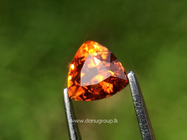 Natural Vivid Orange Spessartite Garnet Triangular Shape stone from Danu Group Gemstones Collection - danugroup.lk