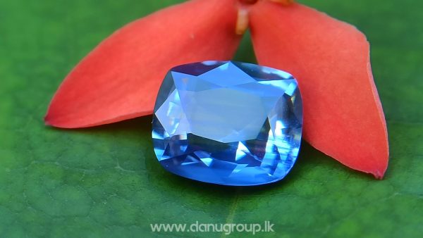 Ceylon Blue Sapphire Cushion Shape - Danu Group Gemstones
