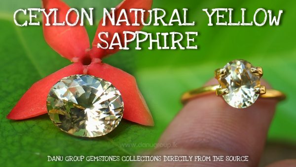 Ceylon Natural Yellow Sapphire Oval shape Unheated Pukraj from Danu Group - - danugroup.lk