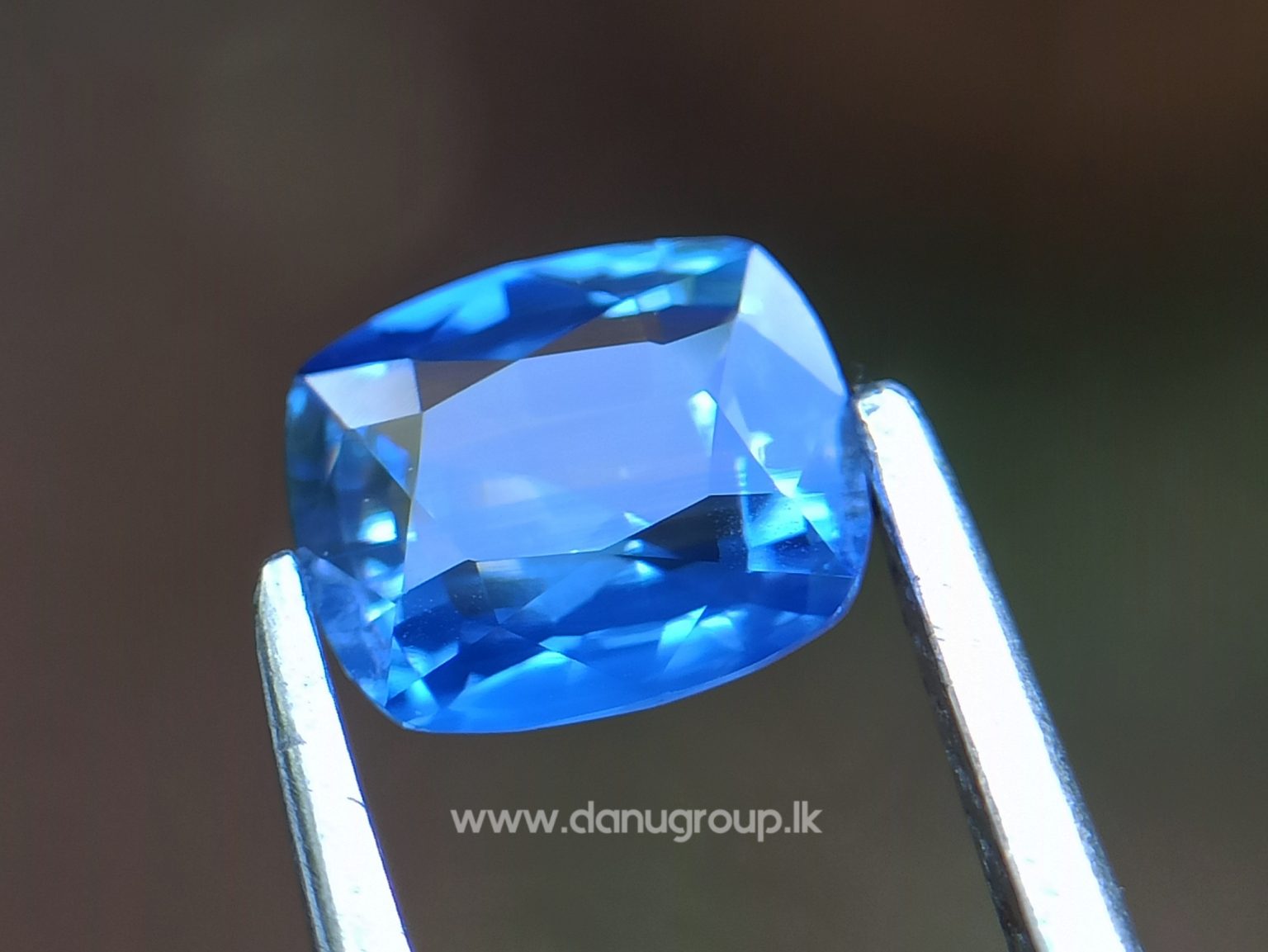 Ceylon Blue Sapphire Cushion Shape - Danu Group Gemstones