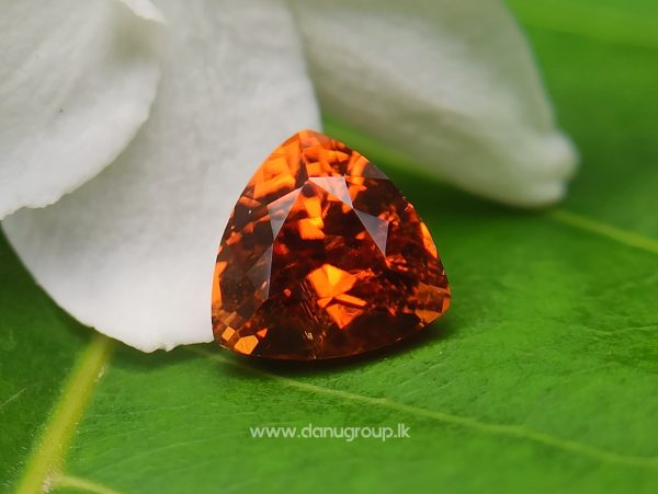 Natural Vivid Orange Spessartite Garnet Triangular Shape stone from Danu Group Gemstones Collection - danugroup.lk