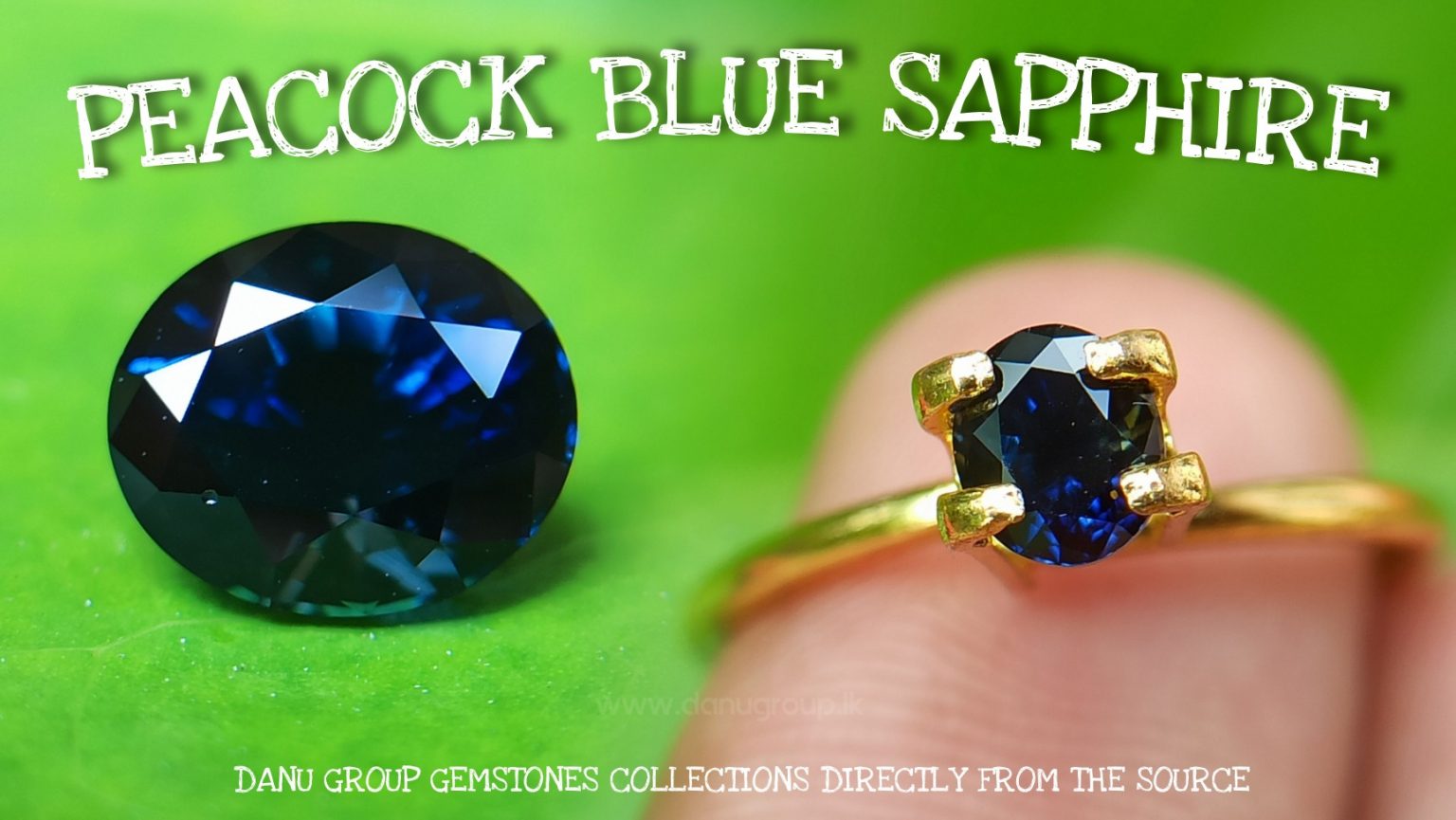 Ceylon Peacock Blue Sapphire Oval shape gem from Danu Group Gemstones -- danugroup.lk