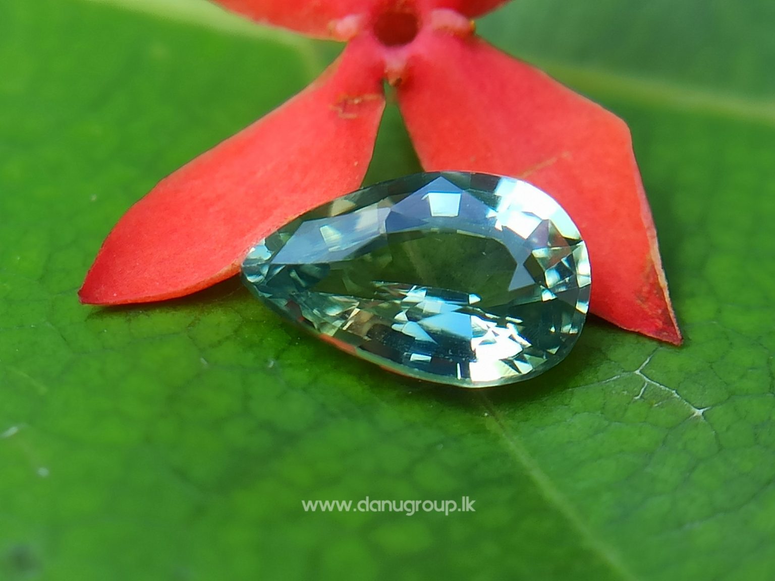Natural Fine Quality Green Sapphire Pear shape Gem from Danu Group - danugroup.lk