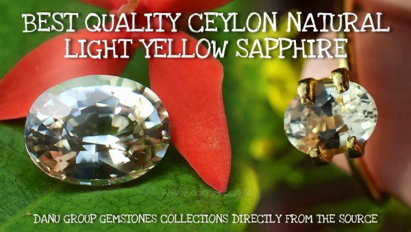 Ceylon Natural Light Yellow Sapphire Oval Shape best quality gem from Danu Group - danugroup.lk