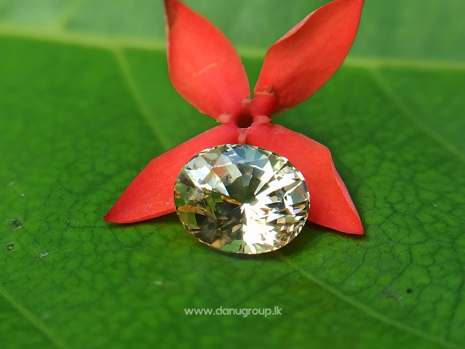 Ceylon Natural Yellow Sapphire Oval shape Unheated Pukraj from Danu Group - - danugroup.lk