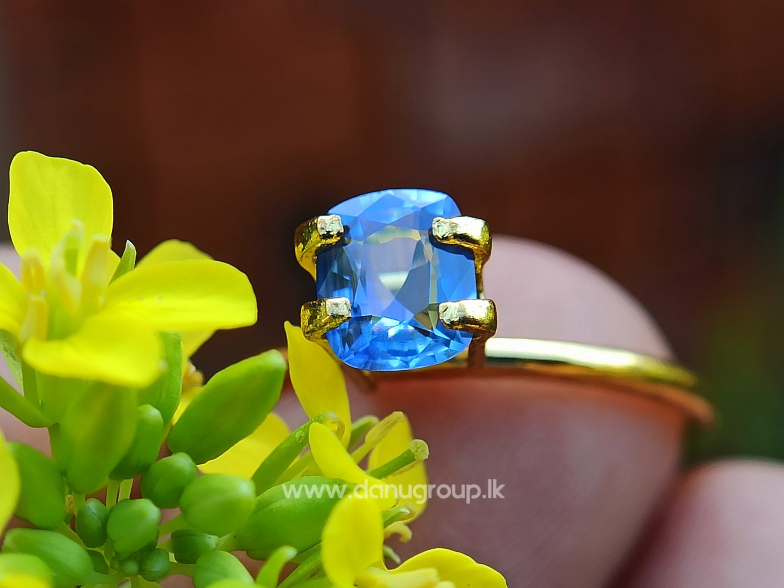 Ceylon Blue Sapphire Cushion Shape - Danu Group Gemstones