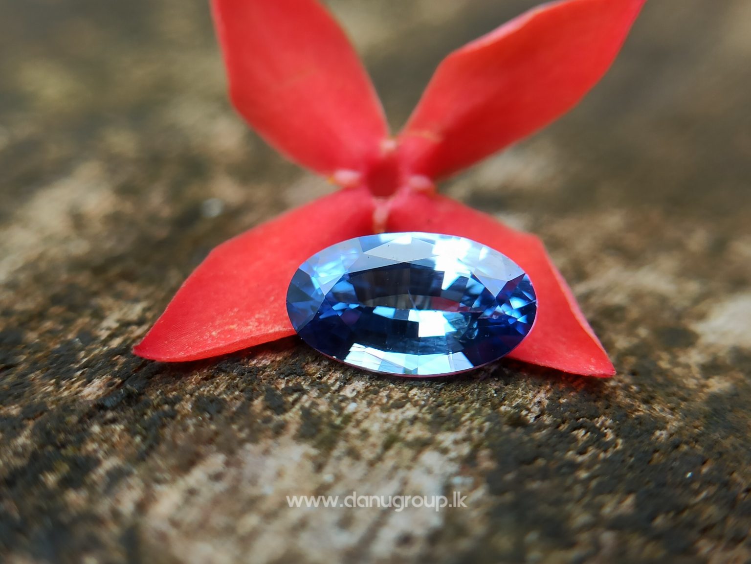 Ceylon Natural Cornflower Blue Sapphire Long Oval shape gem from Danu Group - danugroup.lk