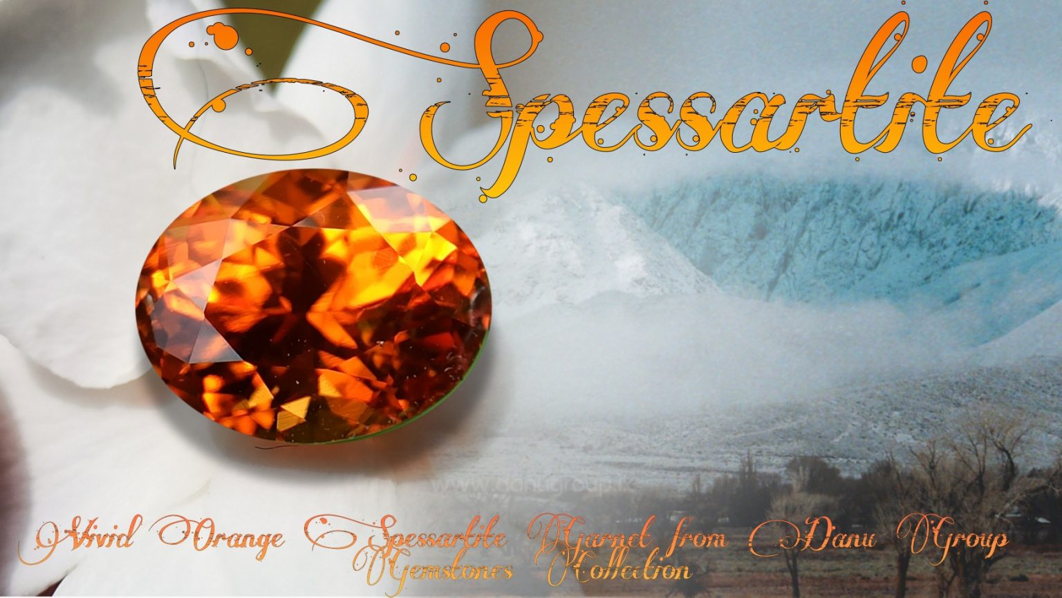 Natural Vivid Orange Spessartite Garnet Danu Group Gemstones - danugroup.lk