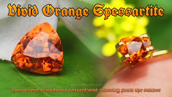 Natural Vivid Orange Spessartite Garnet Triangular Shape stone from Danu Group Gemstones Collection - danugroup.lk