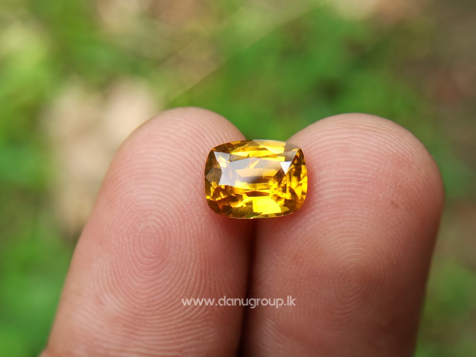 Ceylon Natural Yellow Zircon Melychrysos from Danu Group Gemstones Collections