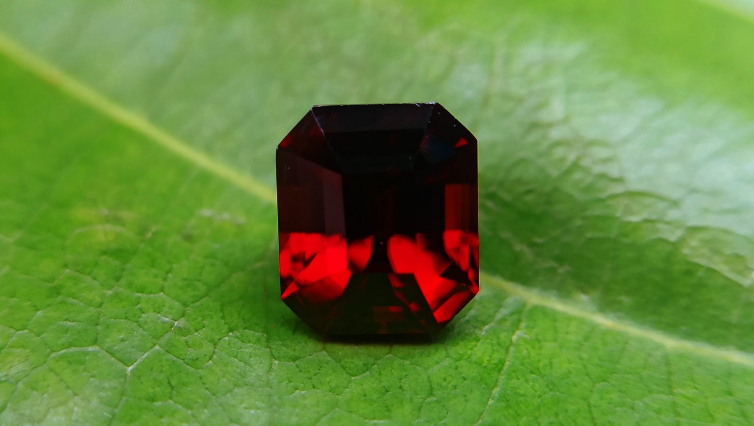 Ceylon Natural Red Zircon Danu Group