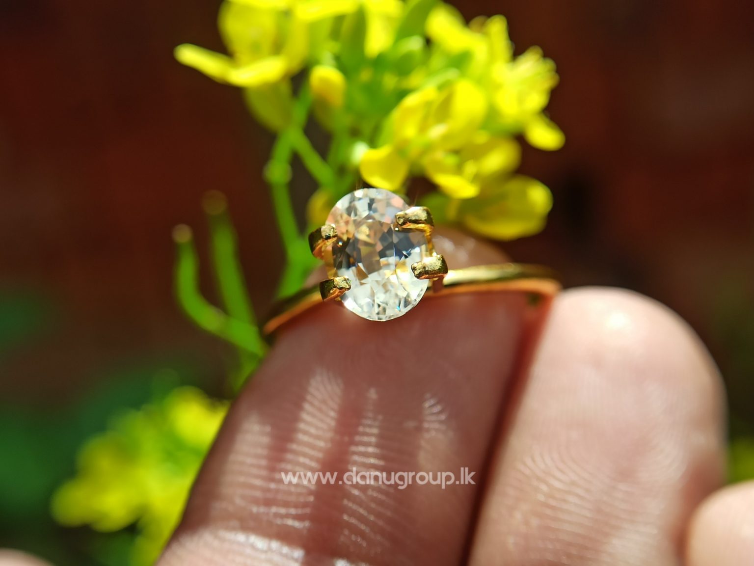 Ceylon Natural Light Yellow Sapphire Oval Shape best quality gem from Danu Group - danugroup.lk