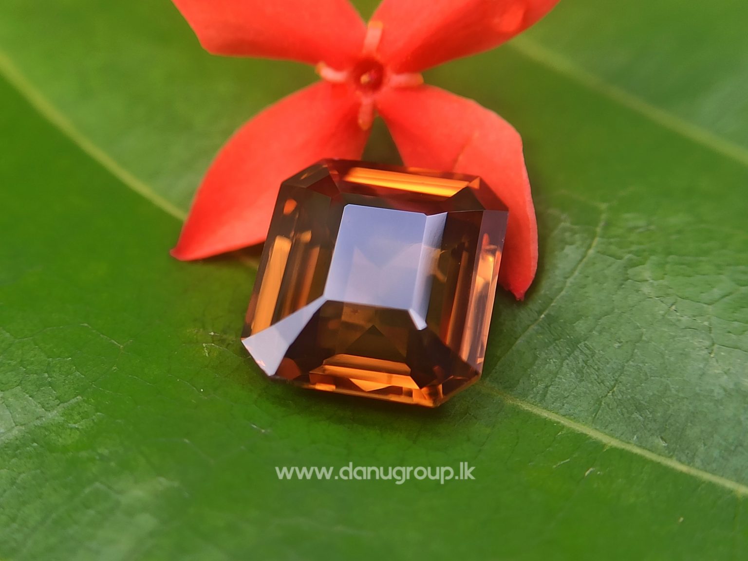 Jackwood brown zircon Natural brown zircon Danu group Gemstones - danugroup.lk