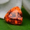 Natural Vivid Orange Spessartite Garnet Triangular Shape stone from Danu Group Gemstones Collection - danugroup.lk
