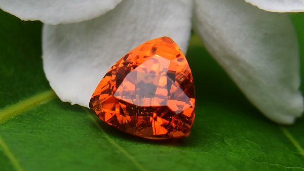 Natural Vivid Orange Spessartite Garnet Triangular Shape stone from Danu Group Gemstones Collection - danugroup.lk