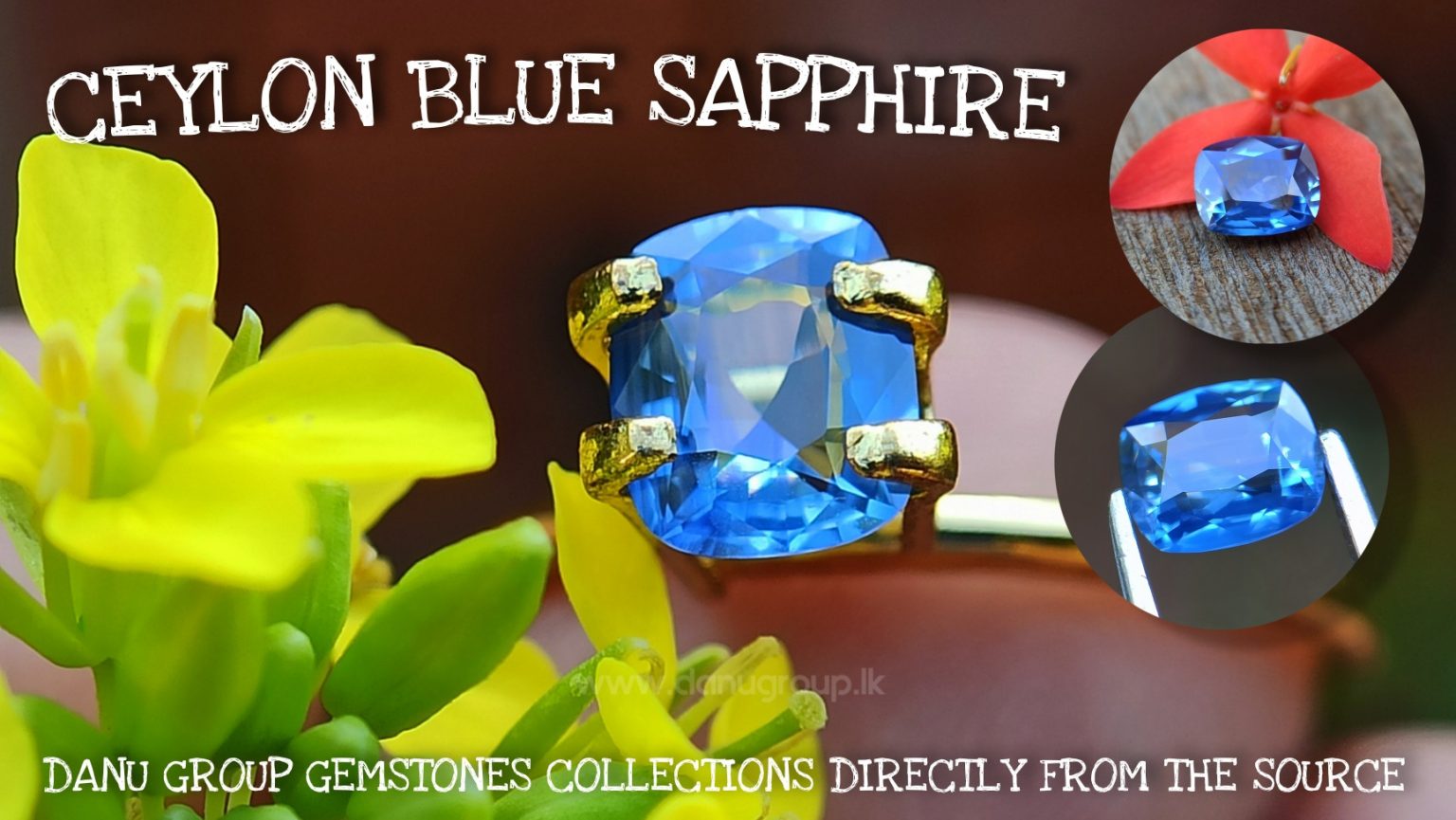 Ceylon Blue Sapphire Cushion Shape - Danu Group Gemstones