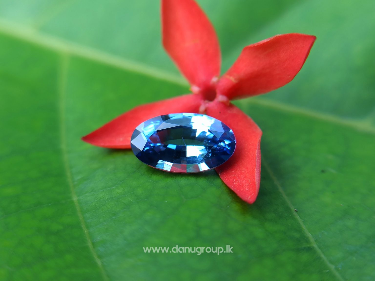 Ceylon Natural Cornflower Blue Sapphire Long Oval shape gem from Danu Group - danugroup.lk