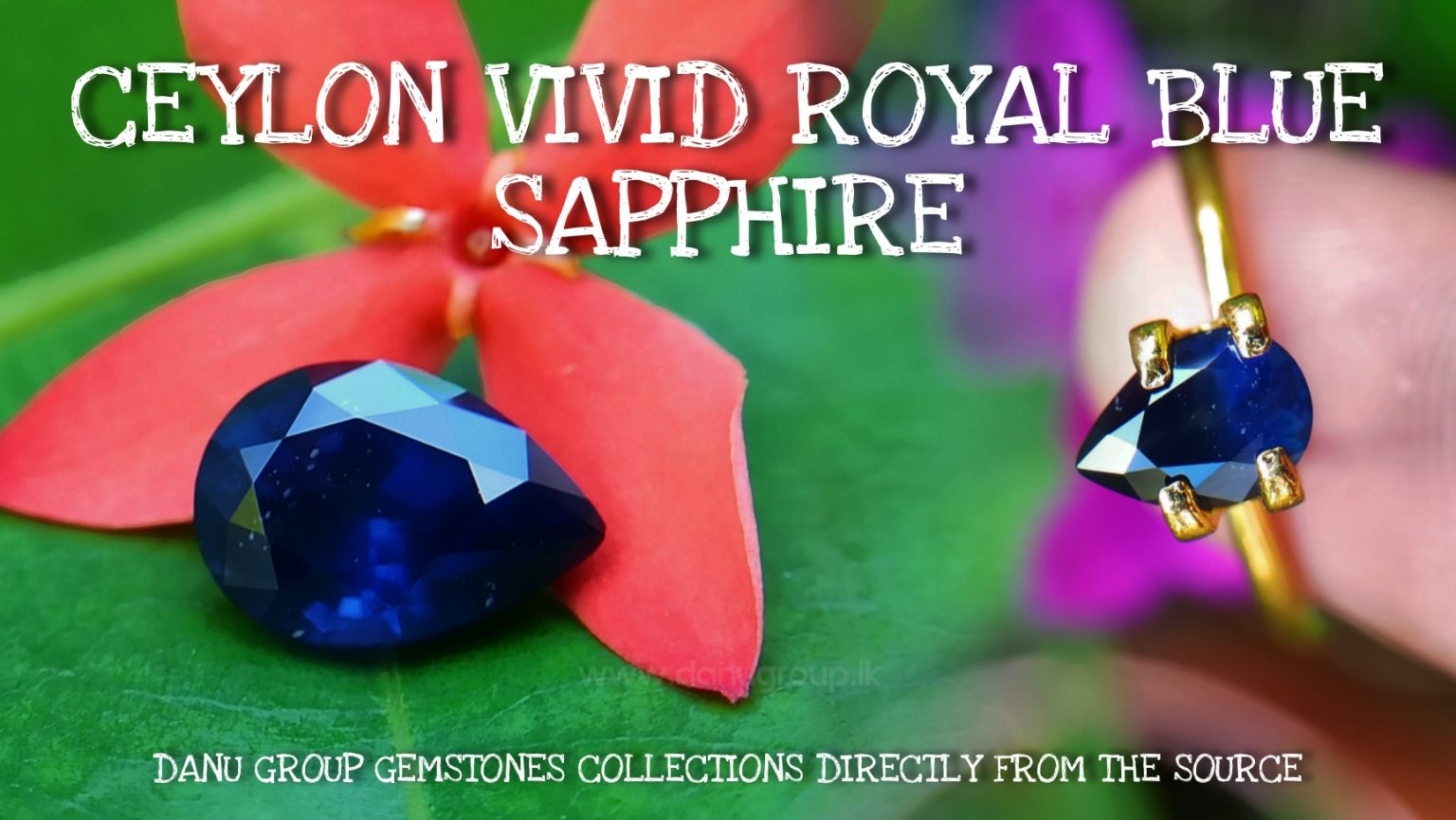 Ceylon Vivid Royal Blue Sapphire Drop Pear Shape Danu Group Gemstones - danugroup.lk