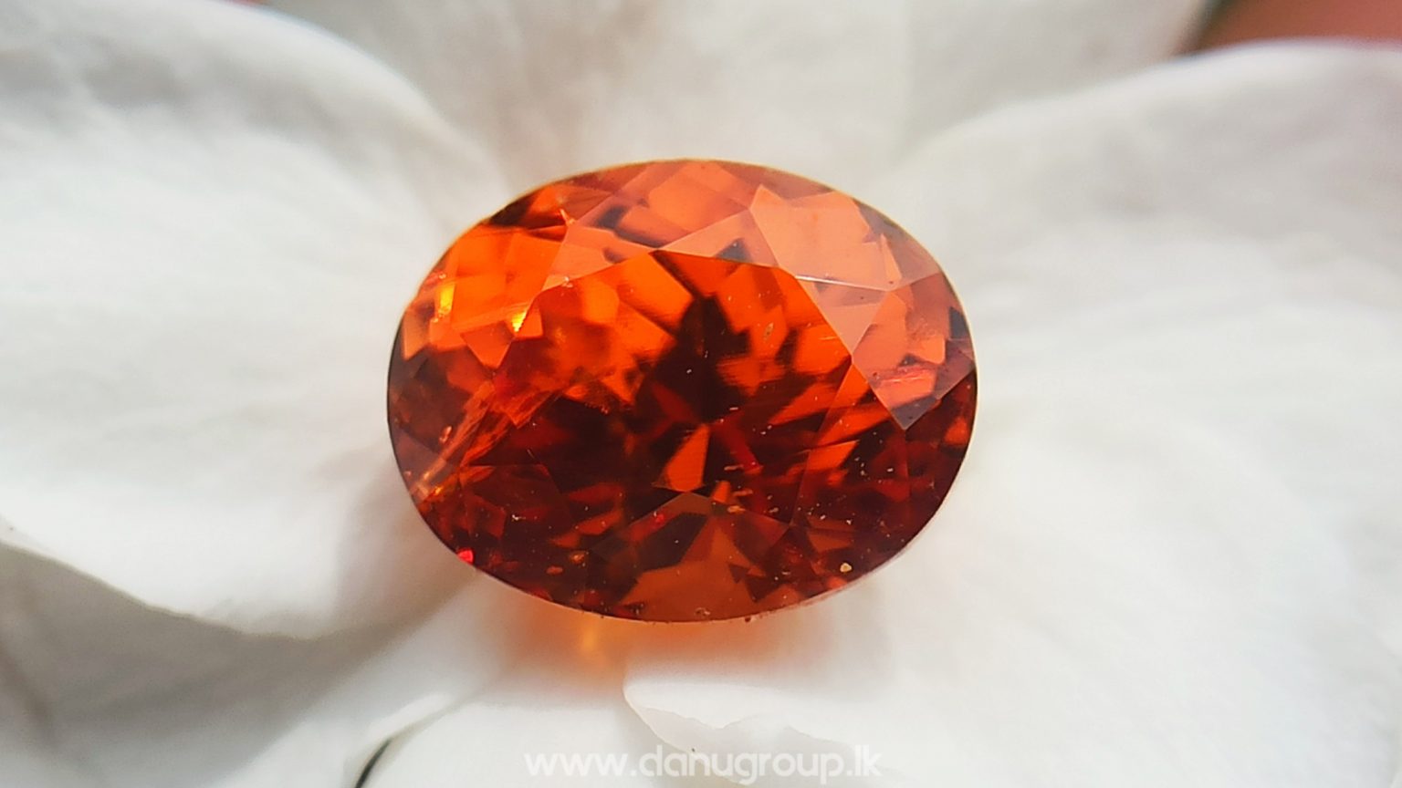 Natural Vivid Orange Spessartite Garnet Danu Group Gemstones - danugroup.lk