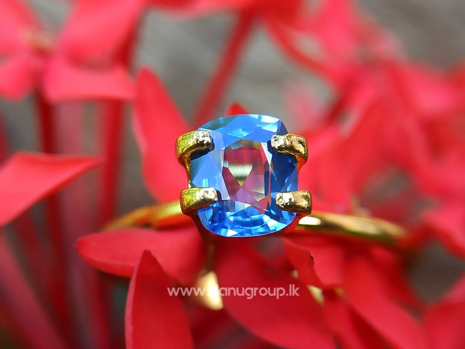 Ceylon Blue Sapphire Cushion Shape - Danu Group Gemstones