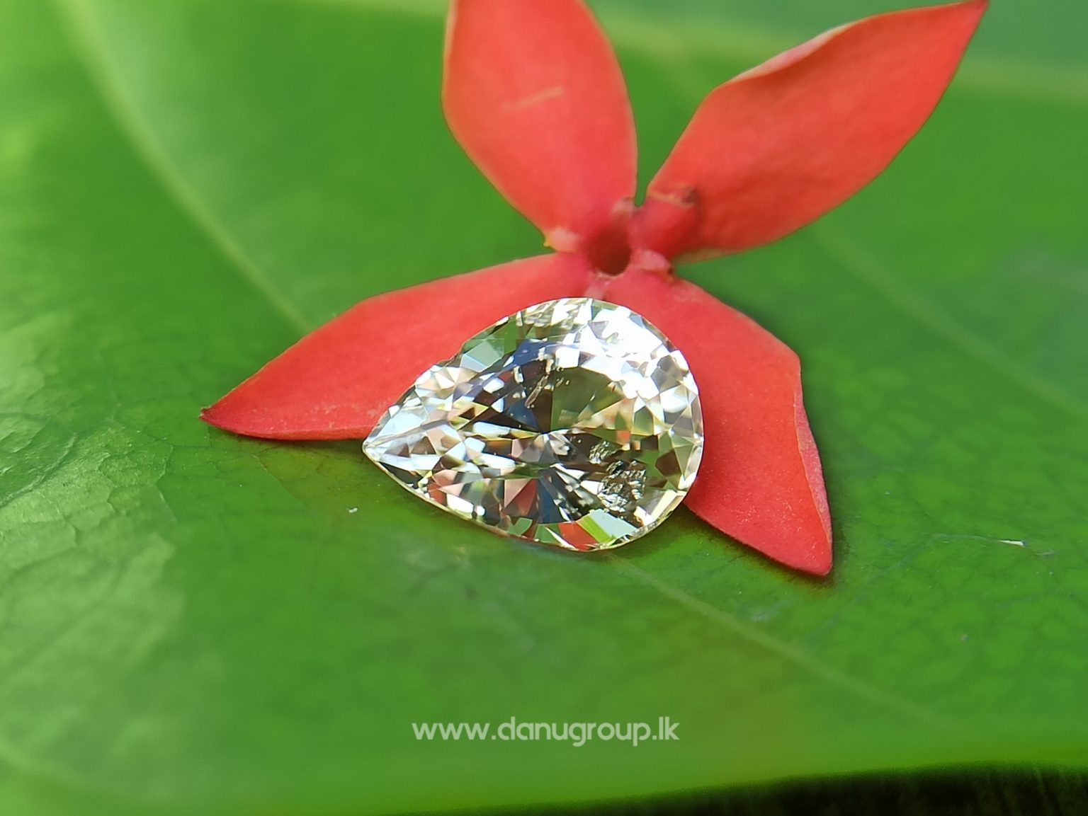 Ceylon Natural Yellow Sapphire pear shape Unheated Pukraj from Danu Group - danugroup.lk