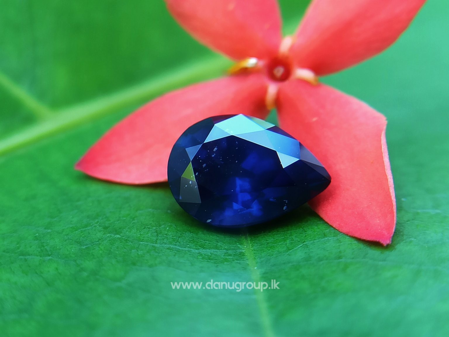 Ceylon Vivid Royal Blue Sapphire Drop Pear Shape Danu Group Gemstones - danugroup.lk