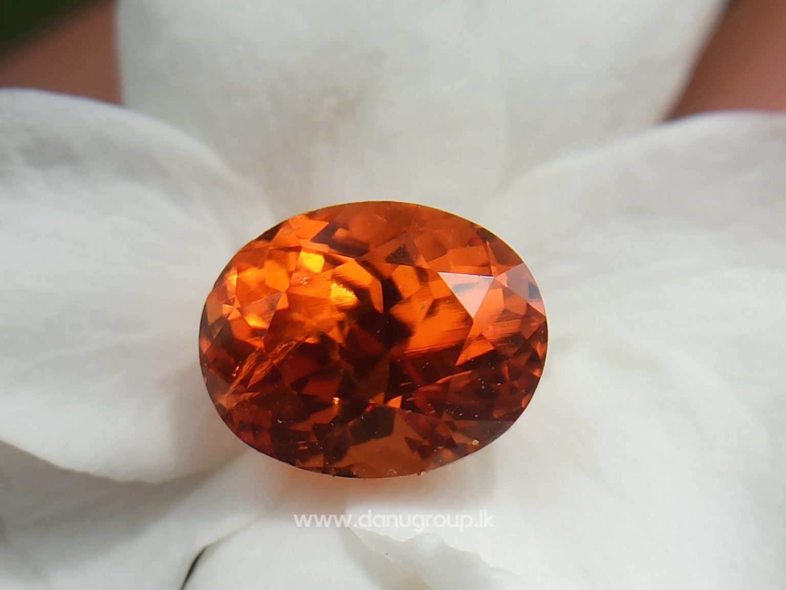 Natural Vivid Orange Spessartite Garnet Danu Group Gemstones - danugroup.lk
